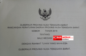 Rancangan Perda Bale Mediasi,ini kasus yang bisa ditangani