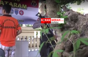 Gara gara tanaman ini,akhirnya masuk penjara