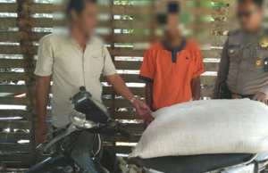 Adoo, Orang Ini Curi Gabah Digebuk Warga