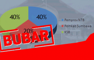 pt dmb bubar