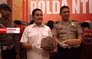 penangkapan 8 kg ganja