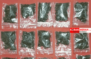 Polres Lobar Tangkap Pengedar Narkoba di Batu Layar. Ini Hasilnya