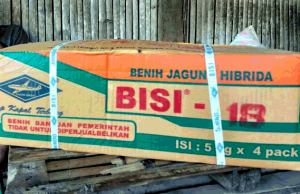 Selain Kadistanbun NTB Sebagai Tersangka, Kejati Juga Tetapkan PPK Dan Rekanan Dalam Proyek Benih Jagung