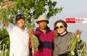Mengenal Urban Farming, Solusi HBK Untuk Topang Perekonomian Warga Kota