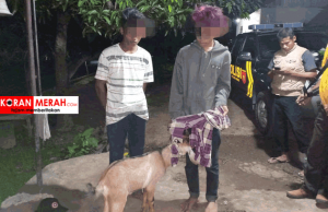 2 Pelajar Ditangkap Saat Maling Kambing