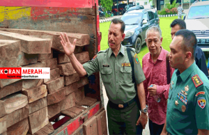 Hutan NTB Rusak Parah, TNI Tangkap Pelaku Ilegal Loging di Bima