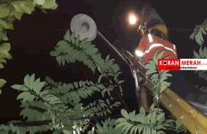 Mayat Ditemukan di Kuang. Begini Kata Polisi