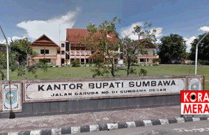2 ASN Diberhentikan Sementara. Gaji Dipotong Setengahnya