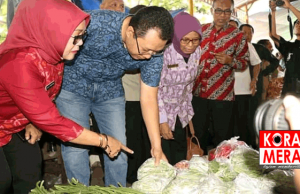 Anggaran Rp.2,5 Milliar, Bakal Ada Videotron Pasar Tradisional di NTB