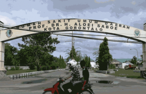 Di Gorontalo, 3 Orang Gila Bakal Nyoblos