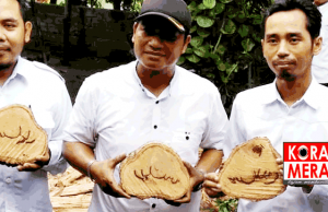 Geger Batang Pohon Bertuliskan Arab di Lotim. Katanya Tulisan Nama Cawapres