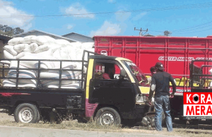 Panen Jagung Dompu Tembus 78 Persen