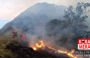 115 Hektar Kawasan Gunung Rinjani Kembali Terbakar. Ini Keterangan Kepala TNGR
