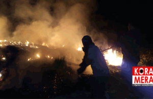 Kebakaran Hutan Menjalar di Dompu, 7 Titik Berhasil Dipadam. Ini Sebabnya