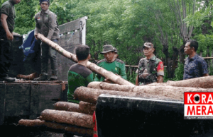 Puluhan Batang Kayu Jati Diamankan Aparat. Hutan NTB Hanya Tersisa 30 Persen