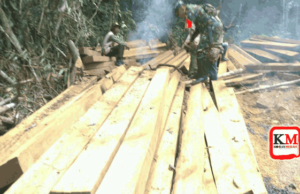Ilegal Loging di NTB Semakin Ngeri. Petugas Amankan Ratusan Kayu