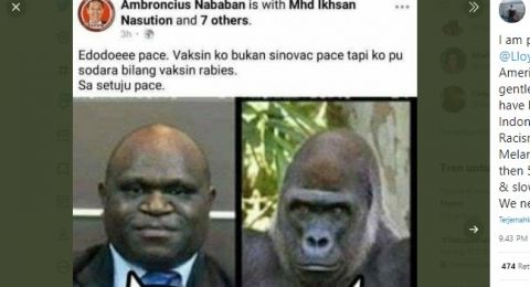 natalius pigai dihina