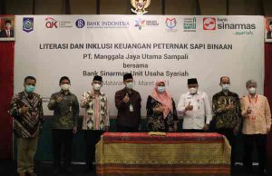 Pemprov Bangun Kerjasama Berikan Kredit Usaha Rakyat Bagi Peternak Sapi NTB