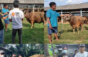 HBK Peduli Bagi Daging Qurban Ke Anggotanya