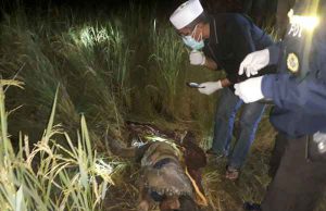 Mayat Nenek Ditemukan Penuh Darah di Sawah, Begini Keterangan Polisi