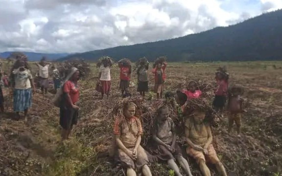 kelaparan papua