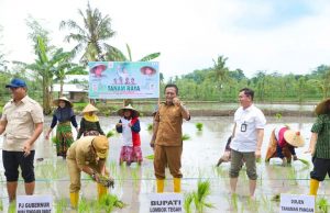 Bupati Lombok Tengah Dampingi Menteri Kebudayaan dan Wamentan dalam Tanam Raya di Pujut